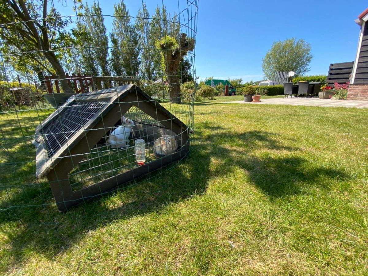 Appartement 5 Vrouwenpolder Εξωτερικό φωτογραφία